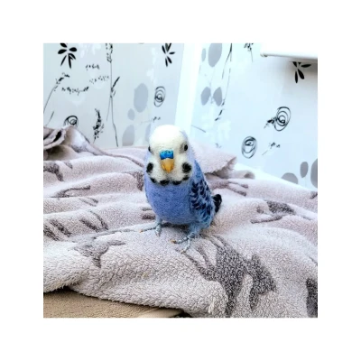 Скульптура волнистого попугая из валяной шерсти, ручная работа