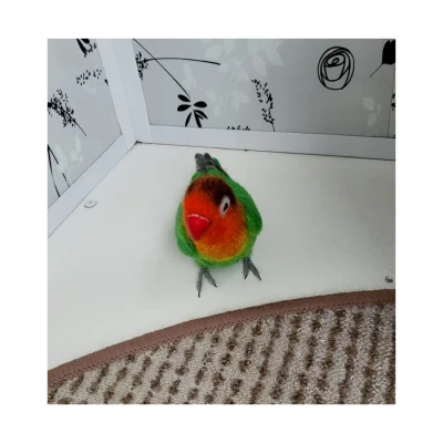 Скульптура неразлучника Фишера из валяной шерсти, ручная работа