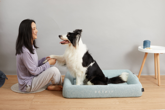 PETKIT | Deep Sleep All Season Pet Bed M | Green