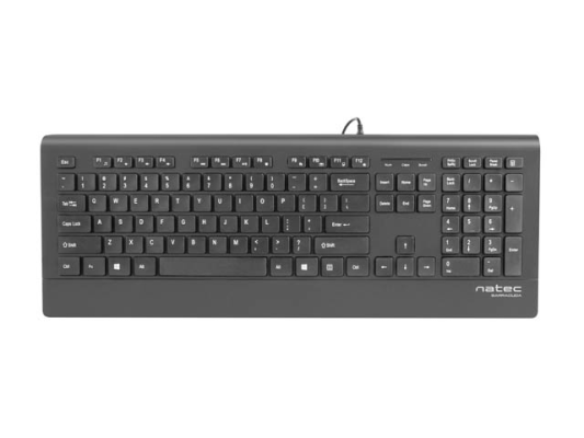Natec Keyboard, Barracuda, US Layout, Slim | Natec | Keyboard | Barracuda | Standard | Wired | US | Black | 529 g