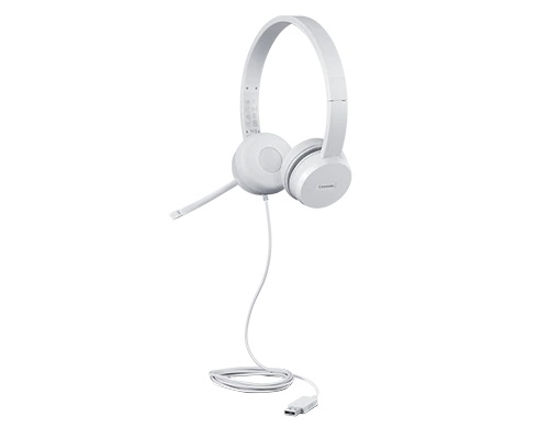 Lenovo | USB Headset | 110 Stereo | Yes | USB Type-A