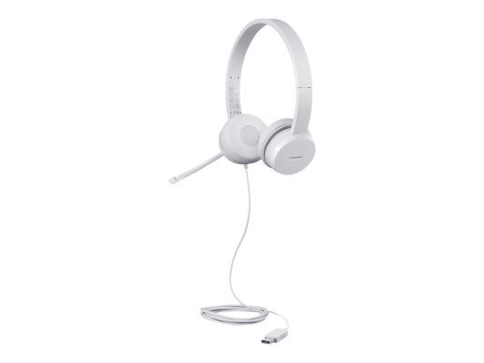Lenovo | USB Headset | 110 Stereo | Yes | USB Type-A