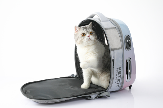 PETKIT | Pet Carrier | Breezy2 | Pink