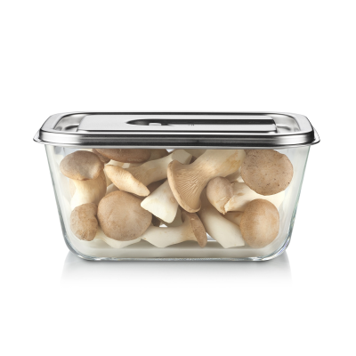 Caso Glass Vacuum Container with Plastic Lid | VacuBoxx Inox XL | Transparent