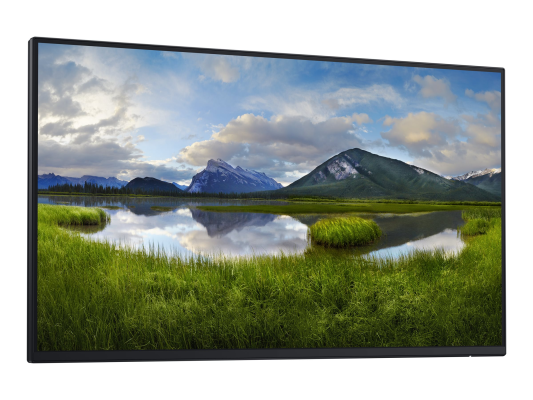 Dell | P2425H | 24 " | IPS | 16:9 | 100 Hz | 8 ms | 1920 x 1080 pixels | 250 cd / m² | HDMI ports quantity 1 | Black | Warranty 36 month(s)