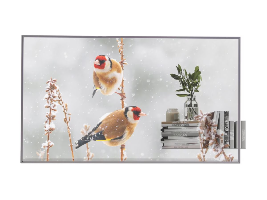 LG OLED Signage | 55EW5P-M | 55 " | Landscape / Portrait | 18 / 7 | webOS | 600 cd / m² | 8 ms | 178 ° | 178 °