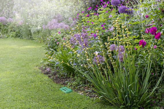 Osram SMART+ RF Soil Moisture Sensor | Green