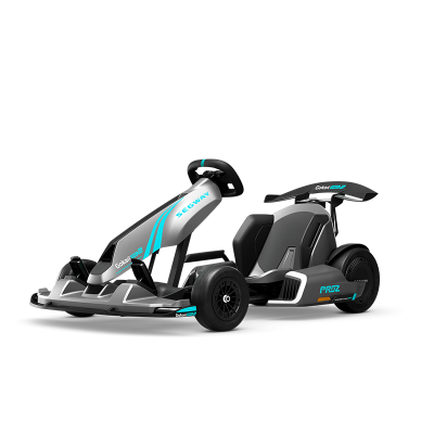 Segway GoKart Pro 2 | 43 km / h