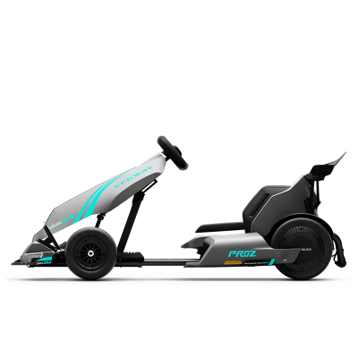 Segway GoKart Pro 2 | 43 km / h