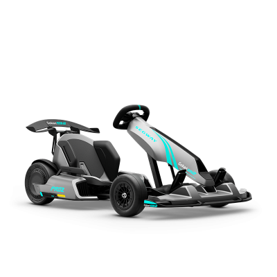 Segway GoKart Pro 2 | 43 km / h