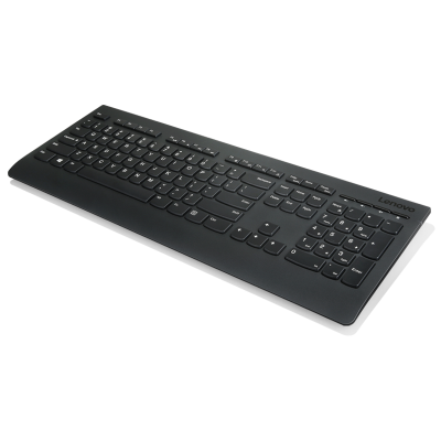 Lenovo | Professional | Professional Wireless Keyboard and Mouse Combo - US English with Euro symbol | Keyboard and Mouse Set | Wireless | Mouse included | US | Black | US English | Numeric keypad | Wireless connection