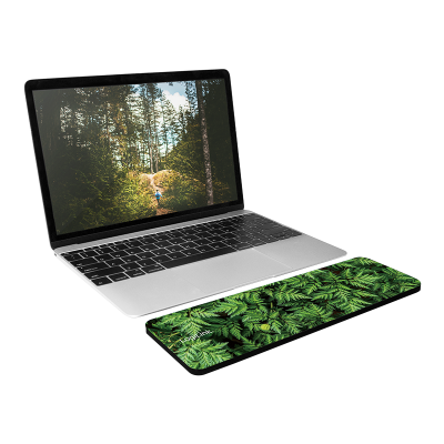 Logilink | Keyboard Wrist Pad, medium | ID0169 | Wrist rest | N / A | N / A | Green