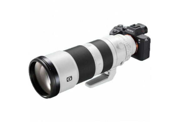 Sony | FE 200-600mm F5.6-6.3 | Sony E-mount