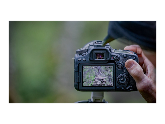 Canon | EOS | 90D | SLR Camera Body | Megapixel 32.5 MP | ISO sensitivity (max) 25600 | Display diagonal 3 " | Wi-Fi | Video recording | APS-C | Black