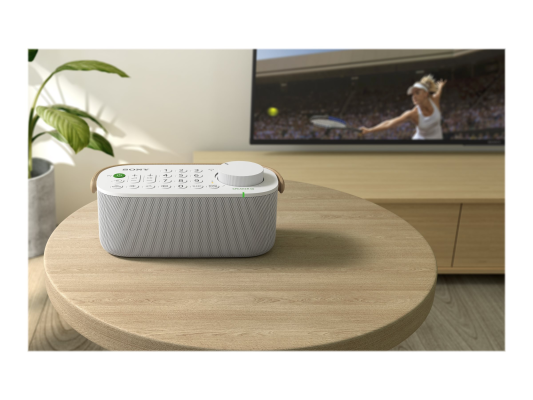 Sony | TV Speaker | SRS-LSR200 | Waterproof | White | Wireless connection