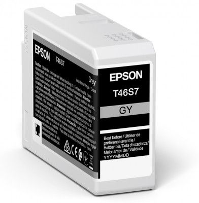 Epson UltraChrome Pro 10 ink | T46S7 | Ink cartrige | Grey