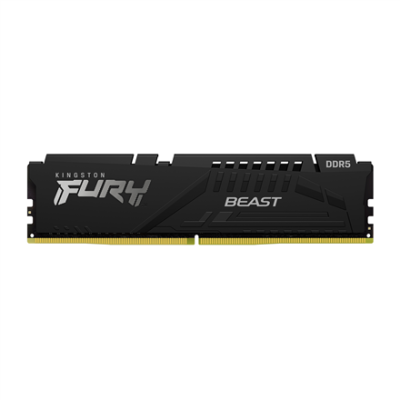 Kingston | Fury Beast | 16 GB | DDR5 | 5600 MHz | PC / server | Registered No | ECC No