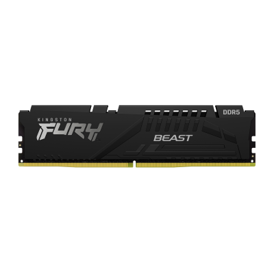 Kingston | Fury Beast | 16 GB | DDR5 | 5600 MHz | PC / server | Registered No | ECC No