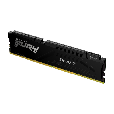 Kingston | Fury Beast | 16 GB | DDR5 | 5600 MHz | PC / server | Registered No | ECC No