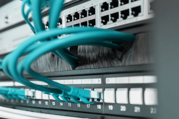 Digitus | 1U cable brush management panel open brush | DN-97661 | Black | The Cable Brush Management Panel is getting fixed on the 483 mm (19”) profile rails