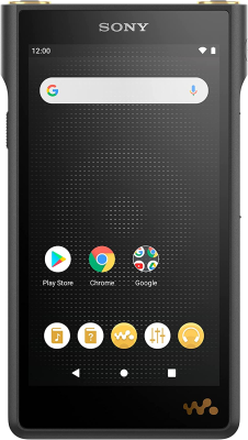 Sony | Walkman Digital Media Player | NW-WM1AM2 | Bluetooth | Internal memory 103 GB | USB connectivity | Wi-Fi