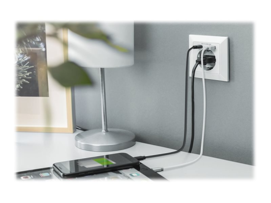 Digitus | Safety Plug for Flush Mounting with 1 x USB Type-C, 1 x USB A