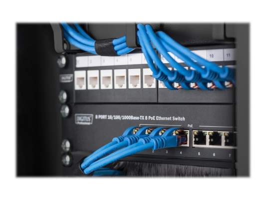 Digitus | Wall-mounted housing 254 mm (10") - 312 x 300 mm | DN-10-09U-B