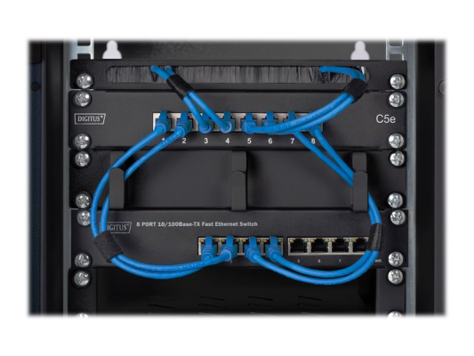 Digitus | Wall-mounted housing 254 mm (10") - 312 x 300 mm | DN-10-09U-B