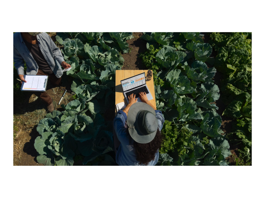 Apple MacBook | Pro | Silver | 14 " | 3024 x 1964 pixels | Apple M4 Pro | 24 GB | Solid-state drive capacity 512 GB | Apple M4 Pro chip 12-core CPU / 16-core GPU | macOS | 802.11ax | Bluetooth version 5.3 | Keyboard language Swedis