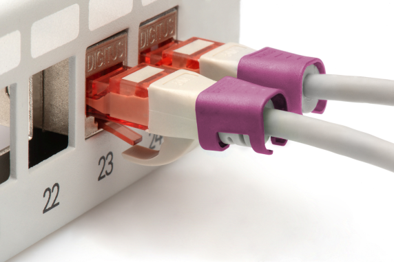 Digitus | Color clips for Patch cable | A-CC-MG | Magenta