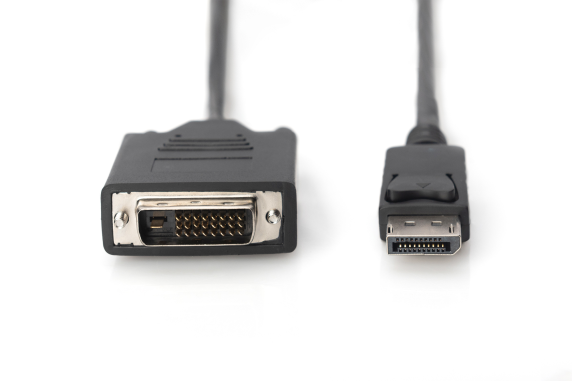 Digitus Adapter Cable, DP - DVI | DisplayPort | 2 m