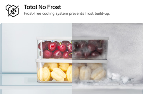 LG Refrigerator | GBV21L0ESW | Energy efficiency class E | Free standing | Combi | Height 186 cm | No Frost system | Fridge net capacity 234 L | Freezer net capacity 110 L | Display | 35 dB | White