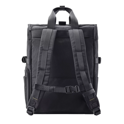 Asus PP4600 PROART | Fits up to size 16 " | Backpack | Black