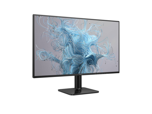 Philips | 24E2N1110 / 00 | 24 " | IPS | FHD | 16:9 | 120 Hz | 4 ms | 1920 x 1080 pixels | 300 cd / m² | HDMI ports quantity 1 | Black