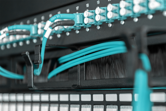 Digitus Cable Management Panel with Brush Entries for 483 mm (19") Cabinets, 1U | DN-97663