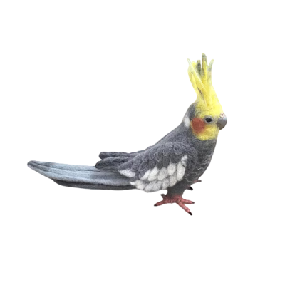 Felted Wool Cockatiel Sculpture, Handmade