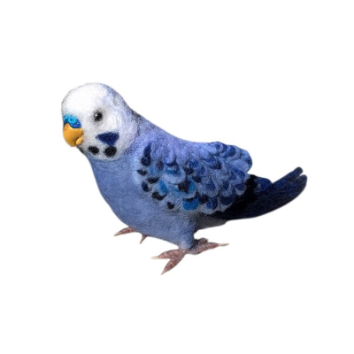 Felted Wool Budgerigar Sculpture, Handmade