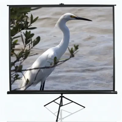 Elite Screens  |  Tripod Series  |  T100UWV1  |  Diagonal 100 "  |  4:3  |  Viewable screen width (W) 203 cm  |  Black