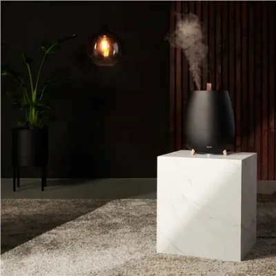 Duux  |  Humidifier Gen2  |  Tag  |  Ultrasonic  |  12 W  |  Water tank capacity 2.5 L  |  Suitable for rooms up to 30 m²  |  Ultrasonic  |  Humidification capacity 250 ml / hr  |  Black