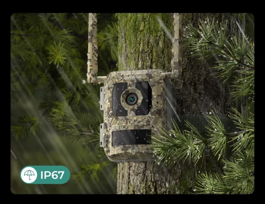 Reolink  |  4K 4G Cellular Trail Camera with Live Streaming  |  Talon Series S130  |  Trail  |  8 MP  |  4mm / F1.6  |  IP67  |  H.265  |  MicroSD Card, up to 256 GB
