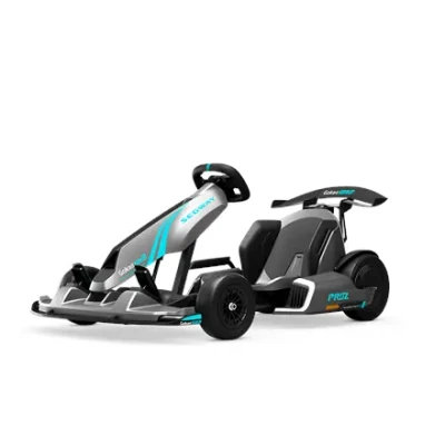 Segway GoKart Pro 2  |  43 km / h