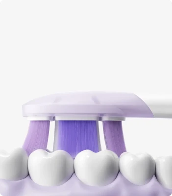 Xiaomi  |  Oscillation Electric Toothbrush Replacement Heads (Soft), 3 pcs