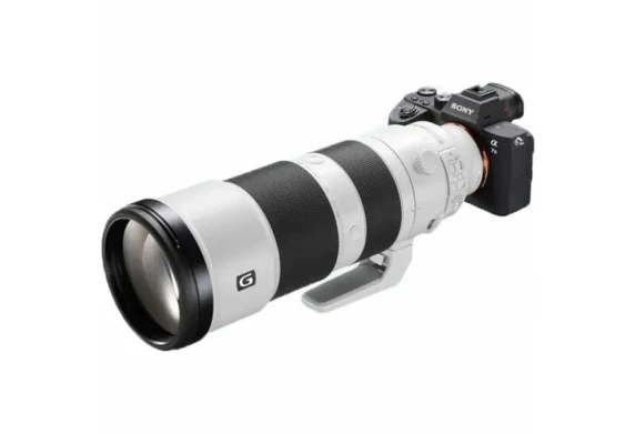 Sony  |  FE 200-600mm F5.6-6.3  |  Sony E-mount