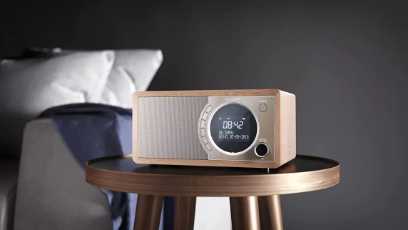 Sharp DR-450(BR) Цифровое радио, FM / DAB / DAB+, Bluetooth 4.2, Функция будильника, Коричневый  |  Sharp  |  Цифровое радио  |  DR-450(BR)  |  Bluetooth  |  Коричневый