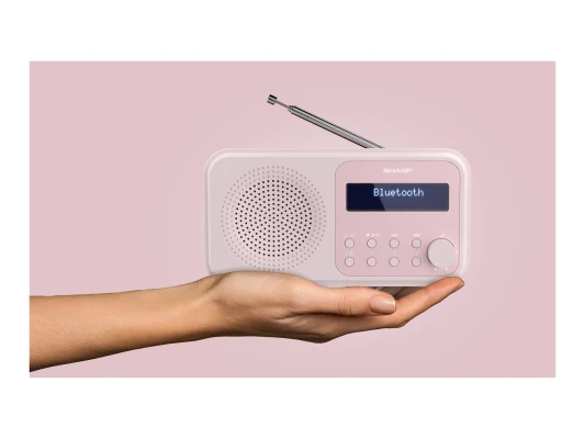 Sharp  |  Токийское цифровое радио  |  DR-P420(PK)  |  Bluetooth  |  Розовый  |  Портативное  |  Беспроводное соединение