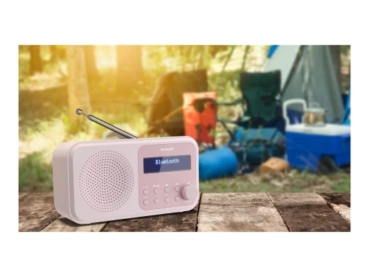 Sharp  |  Токийское цифровое радио  |  DR-P420(PK)  |  Bluetooth  |  Розовый  |  Портативное  |  Беспроводное соединение