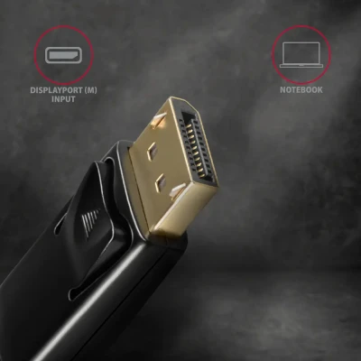 AXAGON  |  Active cable  |  DisplayPort to HDMI  |  1.8 m