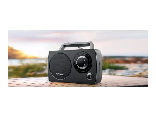 Muse  |  Portable Radio  |  M-075 R  |  AUX in