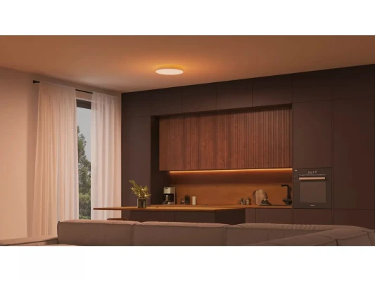 Philips Hue Datura griestu lampa maza 38.4cm  |  48 W