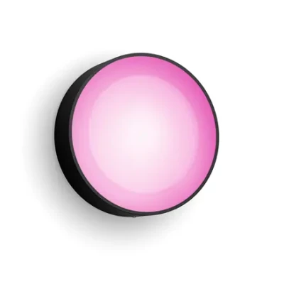 Philips Hue WCA Daylo Outdoor Wall Lantern, Black  |  15 W  |  2000-6500 Hue White Colour Ambiance